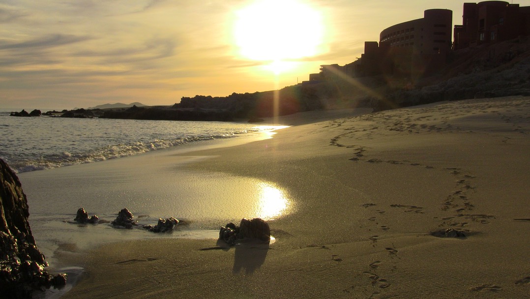 IMG_0641