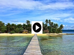 Papua, Indonesia Barefoot Conservation