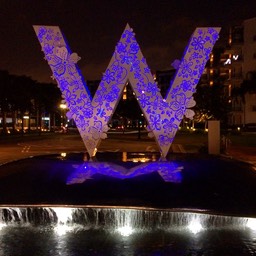 Starwood Hotels Acquisition