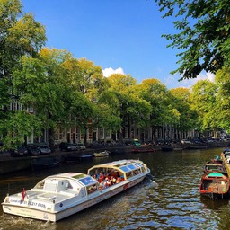 Why Layover in Amsterdam