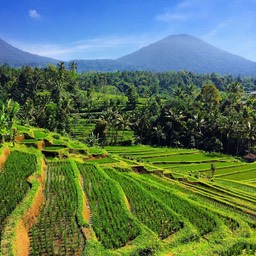 Unexpected Stop in Bali